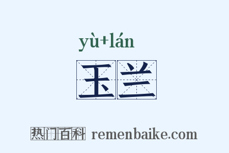 玉兰是什么意思的图片